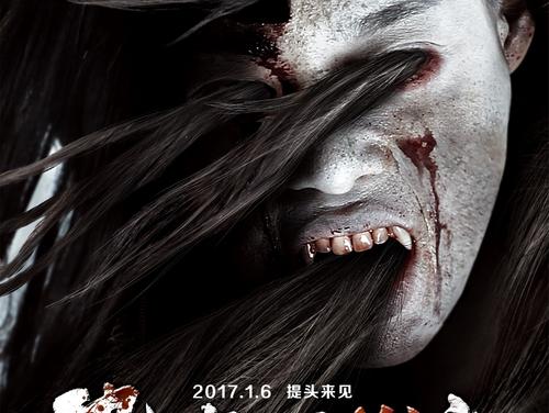 巴基斯坦驾驶证怎么买高仿